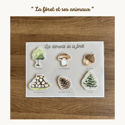 Pochette de planches d'activités éducatives à scratch  "La forêt et ses animaux"