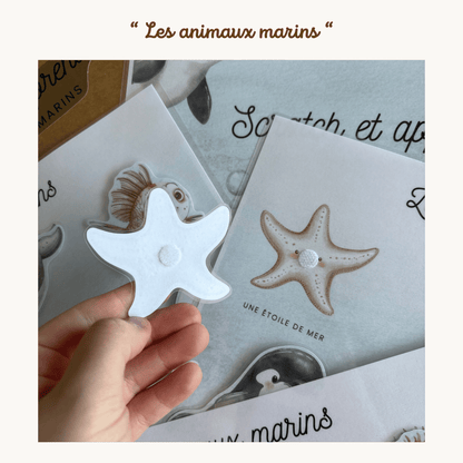 Pochette de planches d'activités éducatives à scratch "Les animaux marins"