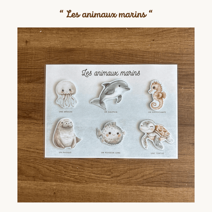 Pochette de planches d'activités éducatives à scratch "Les animaux marins"