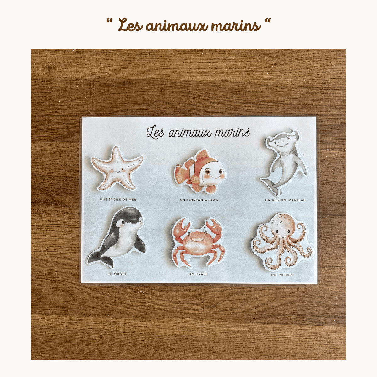 Pochette de planches d'activités éducatives à scratch "Les animaux marins"